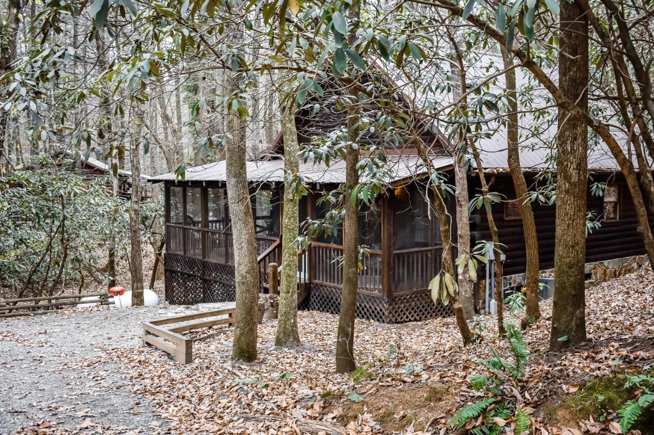 ブルーリッジ山脈 Little Creekヴィラ エクステリア 写真